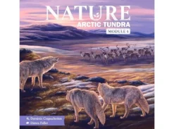 Nature Arctic Tundra Expansion