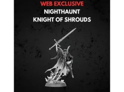 Nighthaunt Knight of Shrouds