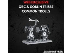 Orc & Goblin Tribes Common Trolls