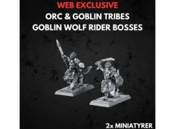 Orc & Goblin Tribes Goblin Wolf Rider Bo