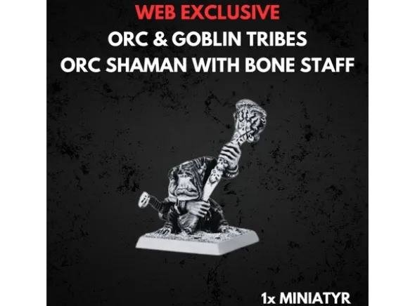 Orc & Goblin Tribes Orc Shaman