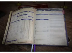 Pathfinder Complete Rogue Chronicle