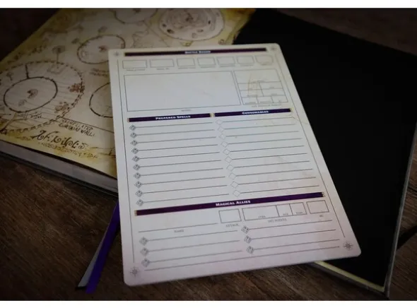 Pathfinder Complete Rogue Chronicle