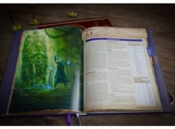 Pathfinder Complete Wizard Chronicle