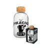 Pokemon Glassflaske 620ml