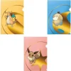 Pokemon Tournament Folios 3-Pack #2