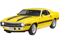 70 Shelby Mustang GT500