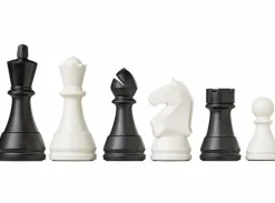 Sjakk DGT Pegasus Digital Chess Board