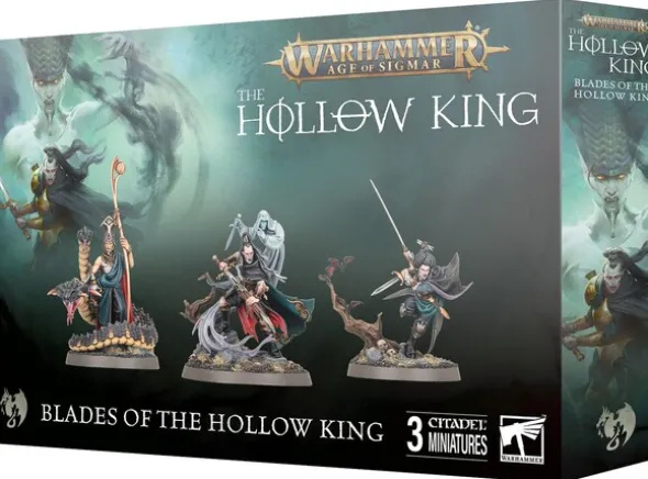 Soulblight Gravelords Blades Hollow King