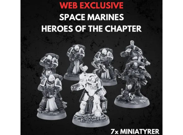 Space Marines Heroes of the Chapter
