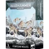Space Wolves Fenrisian Wolves