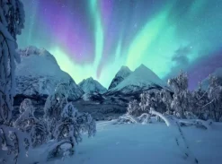 The Arctic Show 1500 biter Puslespill