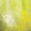 Vallejo Environment Slimy Grime Light