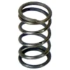 Valve Spring Evolution/Ultra/Infinity