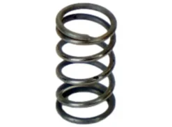 Valve Spring Evolution/Ultra/Infinity