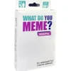 What Do You Meme Reisespill - Norsk