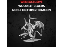 Wood Elf Realms Noble on Forest Dragon