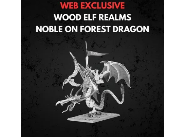 Wood Elf Realms Noble on Forest Dragon