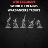 Wood Elf Realms Wardancer Troupe