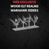 Wood Elf Realms Warhawk Riders