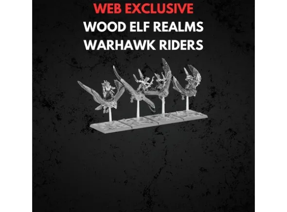 Wood Elf Realms Warhawk Riders