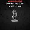 Wood Elf Realms Wood Elf Waystalker