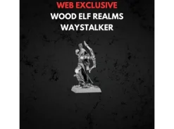 Wood Elf Realms Wood Elf Waystalker