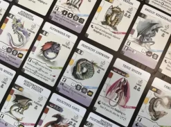 Wyrmspan Dragon Academy Expansion